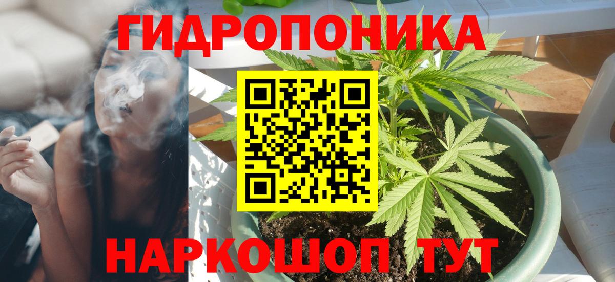 Канабис MAZAR Углич